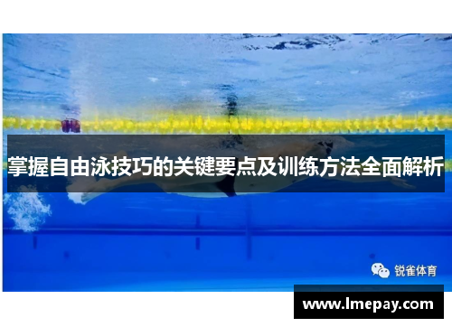 掌握自由泳技巧的关键要点及训练方法全面解析